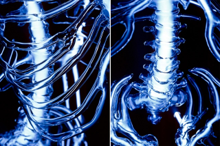 Illustration for article titled This life-size glass skeleton is illuminated by krypton